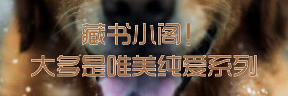 藏书小阁！大多是唯美纯爱系列